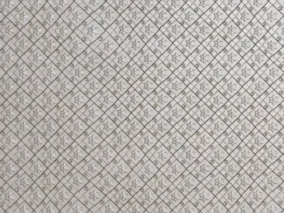 Silver Metal Gate PBR Seamless Texture