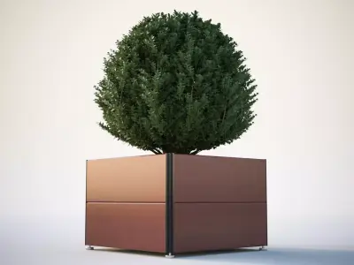 Spherical bush in a pot 3D model