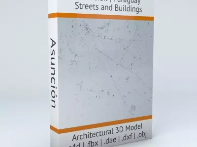 Asuncion Streets and Buildings 3D model