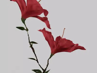 Hibiscus Low-poly 3D model