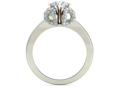 Sterling Silver Infinite Elements Zirconia Round Ring 3D print model