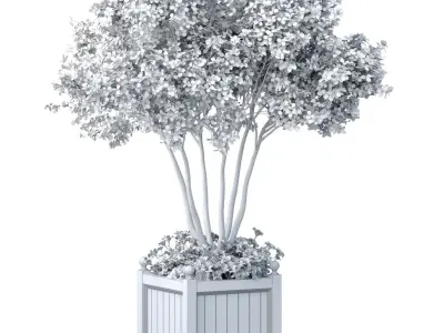 Decorative tree in a garden planter with flowers Houseplant 3D model