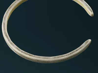 Golden Bangle  Low-poly 3D model order