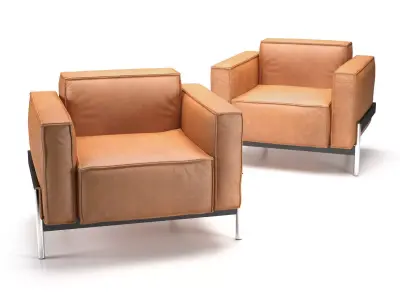 DS-21-01 leather armchair with frame 3D model