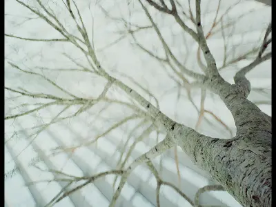 20 OFF Bundle -- Milwaukee Museum Third  Seventh - EXT-INT  3D model