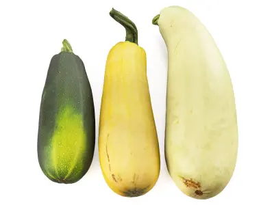 4k vegetable marrow 3D model