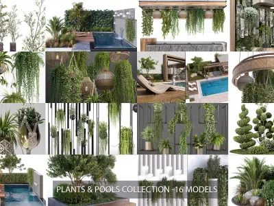 Plants and Pools Collection  3D Model Pack