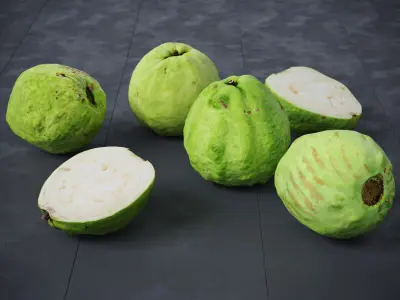 Guavas Green 6 Models