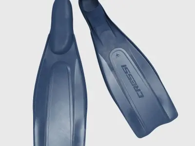 Flippers Cressi Pro Star 3D model