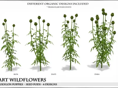 Low Polygon Poppies for Games and Architectural Visualisation Low-poly 3D model