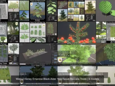 Walnut Honey Empress Black-Alder Yew-Taxus-Baccata Trees 3D Model Pack