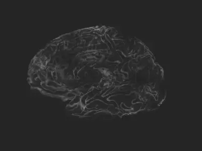 Brain Impulses Stylized Animation 3D model