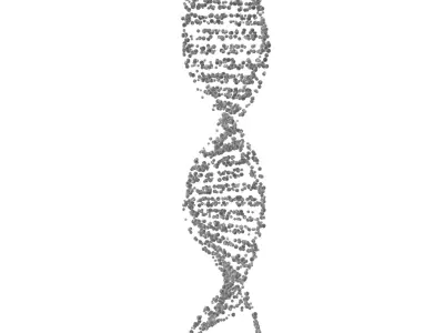 DNA Molecule v4 006 3D model