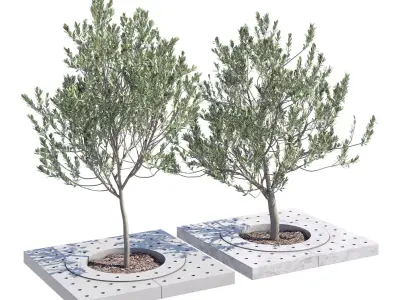 Surrounds two trees in concrete planter 3D model