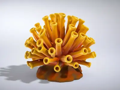 Golden Yellow Tubastraea Coral Model Low-poly 3D model