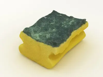 Used Sponge Scourer 3D model