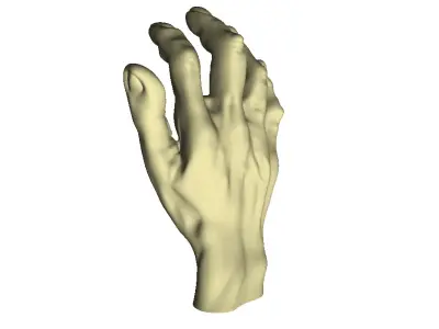 Male Hand 3D print model