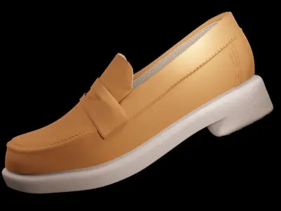 FABRIC SHOOES WITH TEXTURES 3D model