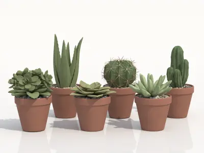 Collection Of Potted Cactus Plants 3D model