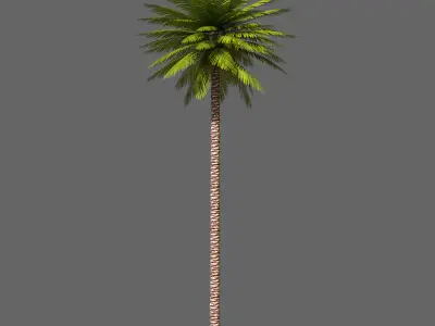 Date Palm 01 Game Ready Low-poly 3D model