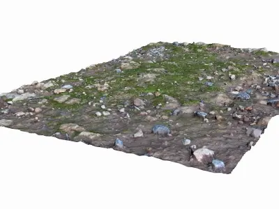 Mossy Ground Low-poly 3D model