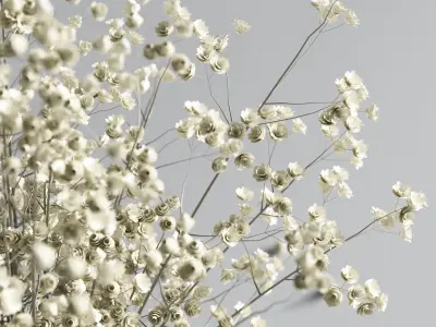 Indoor Plant Set 74 3D model