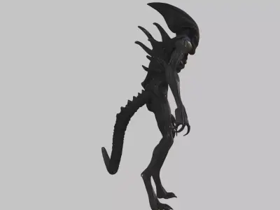 Xenomorph Stalker Low-poly 3D model