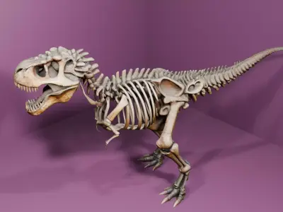Esqueleto de tiranossauro rex Low-poly 3D model