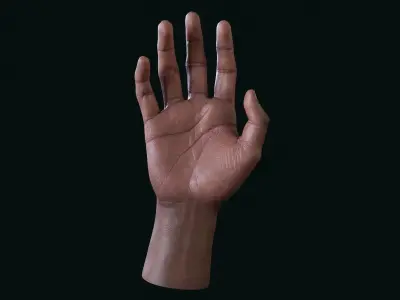 Realistic Human Hand Low-poly 3D model