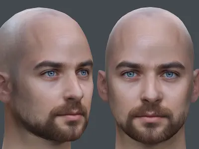 Male head Realistic Perfect Head Low-poly 3D model game ready  Low-poly 3D model