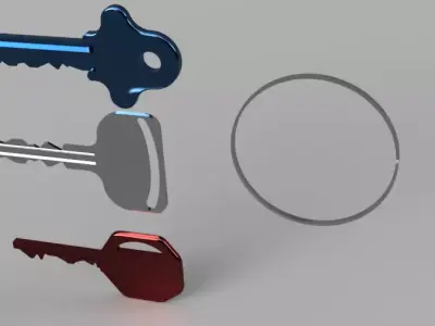 House and Shed Key  3D model