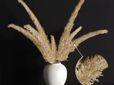 pampas grass 3D model
