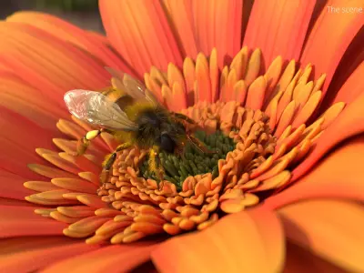  Honey Bee Insect Eating Animated Fur Rigged For Blender 