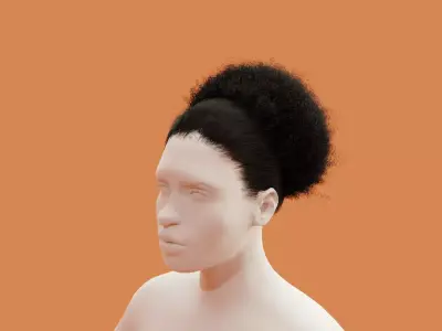 Pony Puff Black Hair 3D model