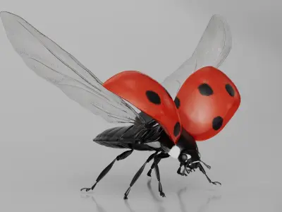 Flying Ladybug Animated Rigged for Maya 