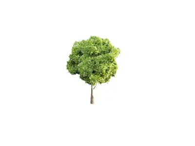 Low Poly Tree Stylish Low-poly 3D model