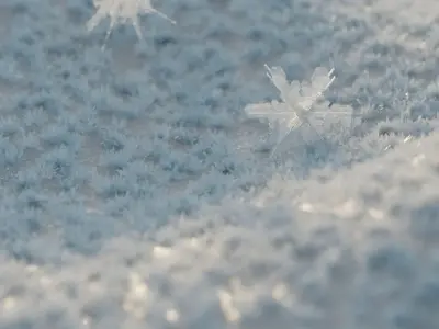 Snow Crystals - Light Pack 3D model