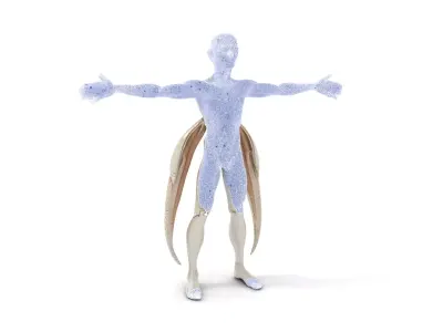 Futuristic Alien Warrior model pack Low-poly 3D model