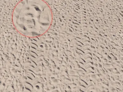 Beach sand Scan 3D model