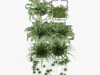 amazon three hanging plants 3D model