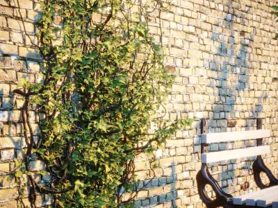 Exterior fencing - Ivy - brick wall 3D model