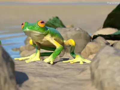  Idle Tree Frog Animated Rigged for Blender 
