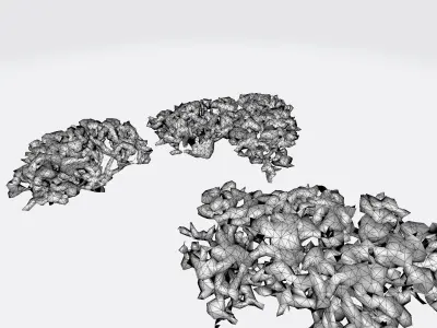  3d High Render Model Dense Forest Barrier In The Forest Area 3D model