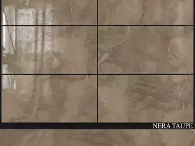 Decovita Nera Taupe 600x1200 3D model