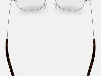 Heyward Eyeglasses in Antique Silver with Pine 3D model