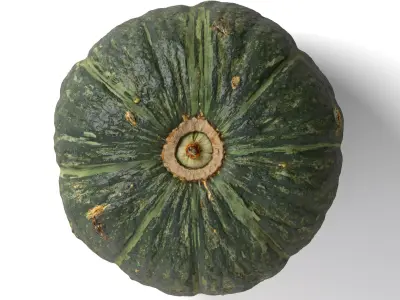 Green Japanese Pumpkin - Photorealistic  Scan Low-poly 3D model