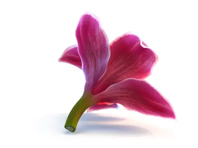  3D Flowers Collection – High-Quality 4K PBR Asset Pack 