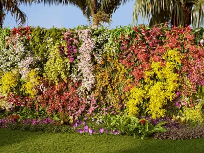  Orchid plant collection GrowFX and Mesh 