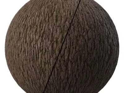 Bark  Materials 01- Seamless PBR 4k Texture