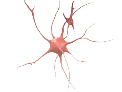 Neurons v1 002 Low-poly 3D model